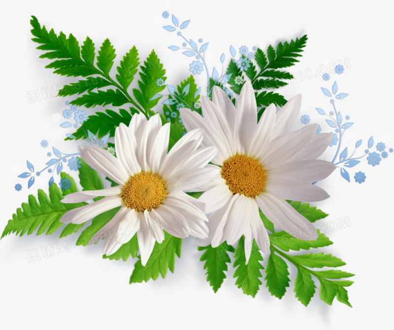 绿叶白色花朵古风蓝色花朵装饰