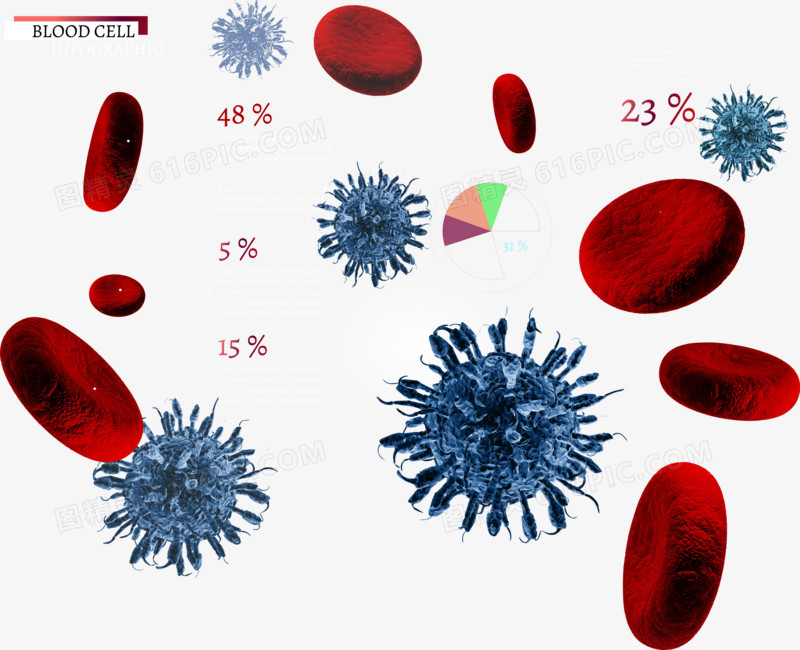 矢量血红细胞
