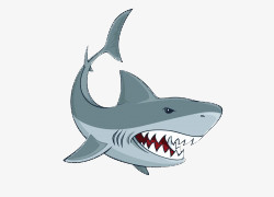 卡通手绘凶猛的鲨鱼插画