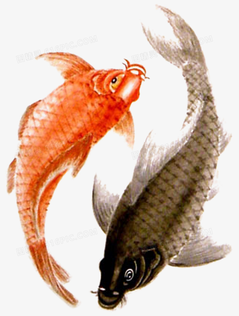 手绘古典卡通中国风素材 双鱼戏水