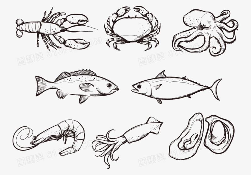 鱼虾蟹 简笔画图片