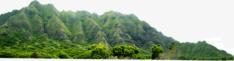 高山绿树风景