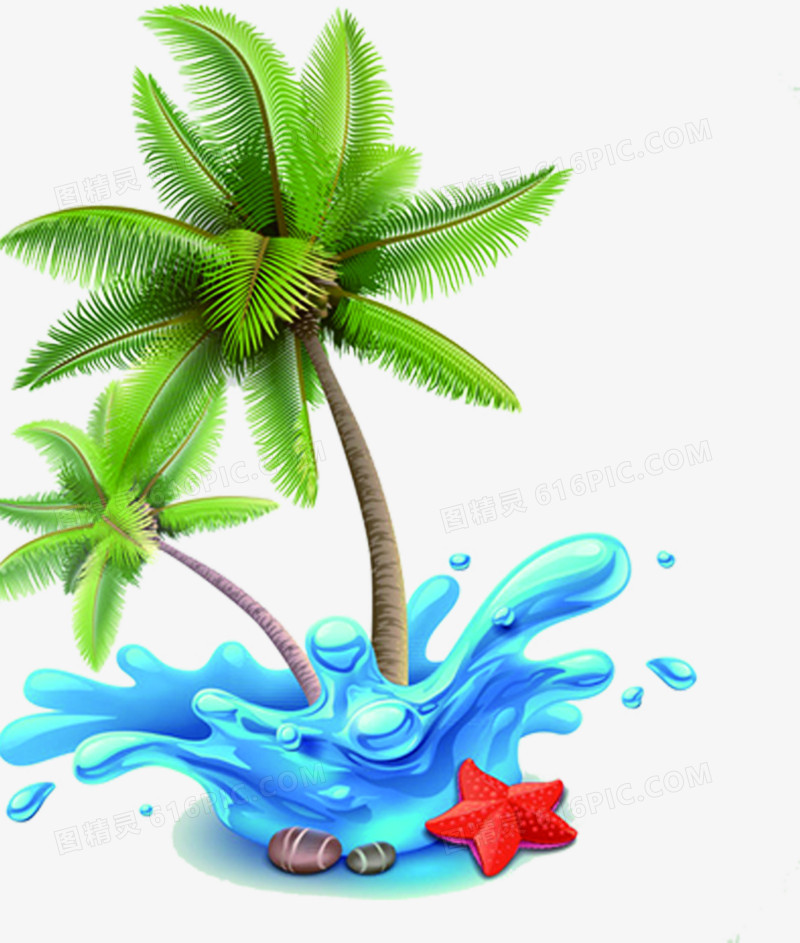 椰子树迸溅的水花