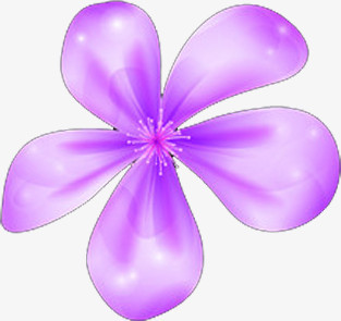 紫色卡通唯美星光花朵