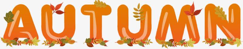 秋季autumn字体设计
