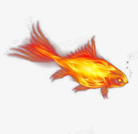 火焰鱼png图片