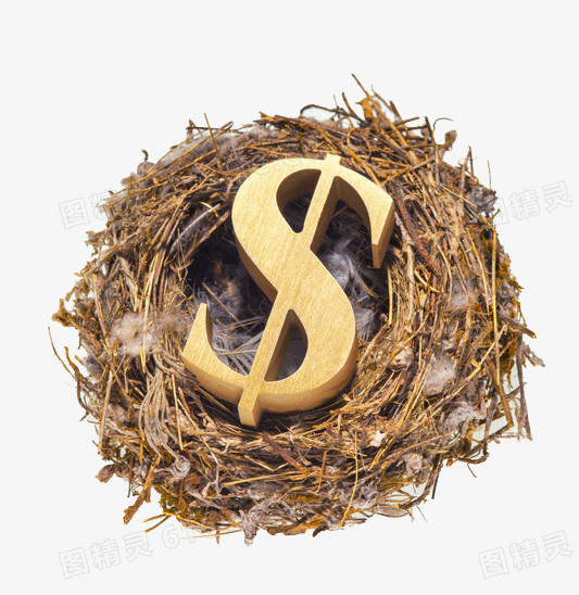 创意鸟巢中的钱币符号