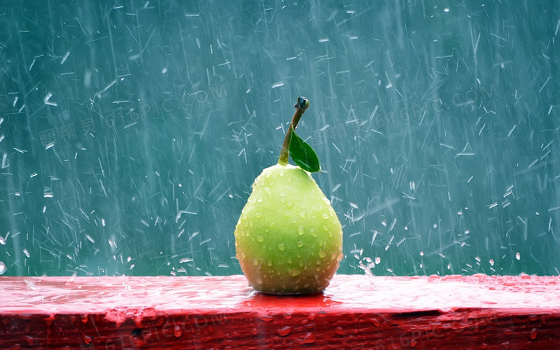 被雨水淋的鸭梨绿叶