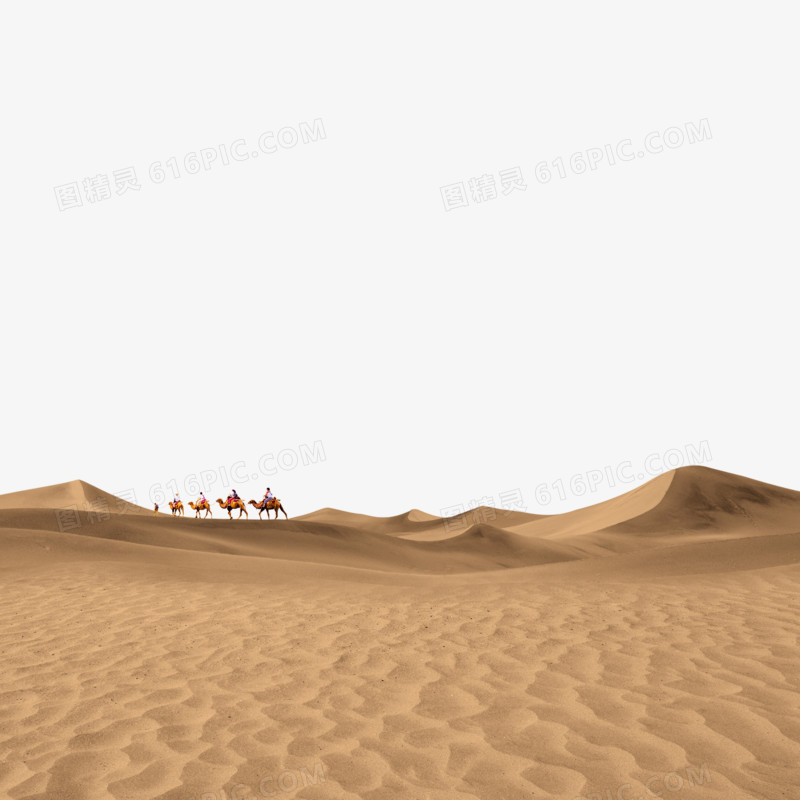 沙漠里的骆驼免抠图素材