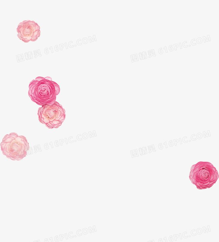 漂浮的玫瑰花