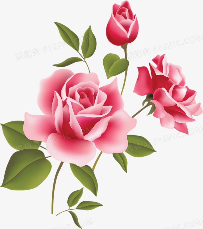 庆典花卉花卉图案素材  唯美玫瑰花