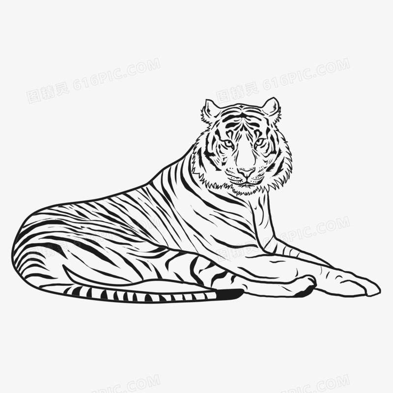 手绘黑白线稿躺着的老虎免抠元素