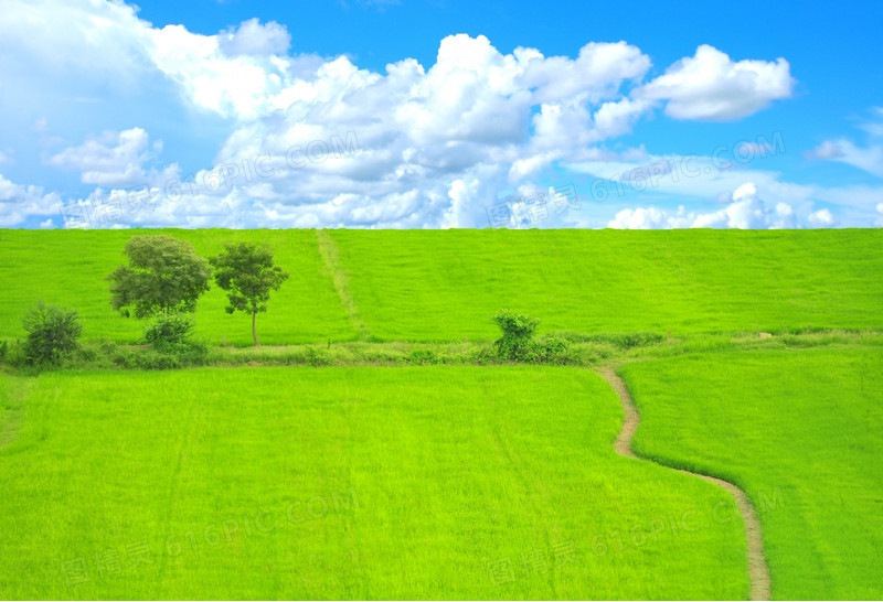 美丽草原风景