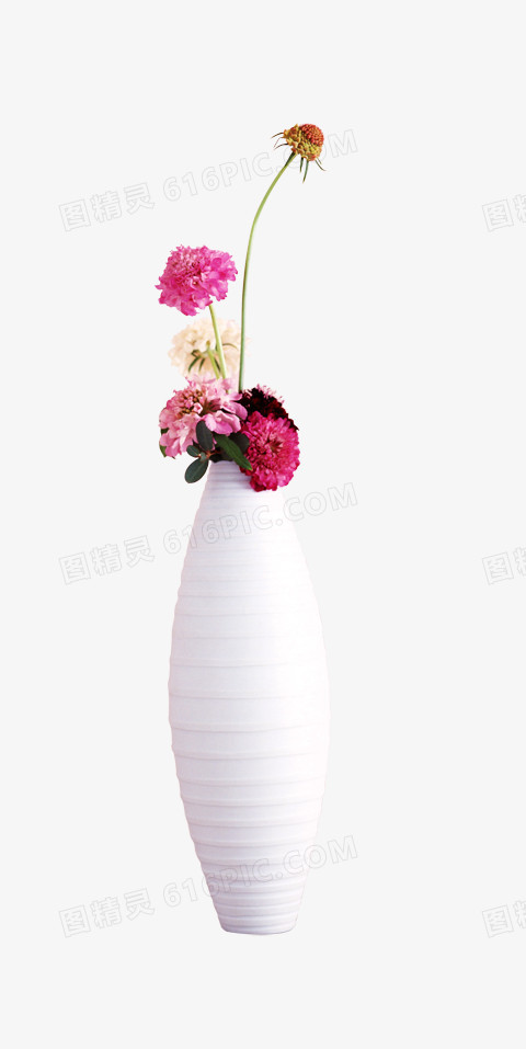 花瓶花卉插花花朵