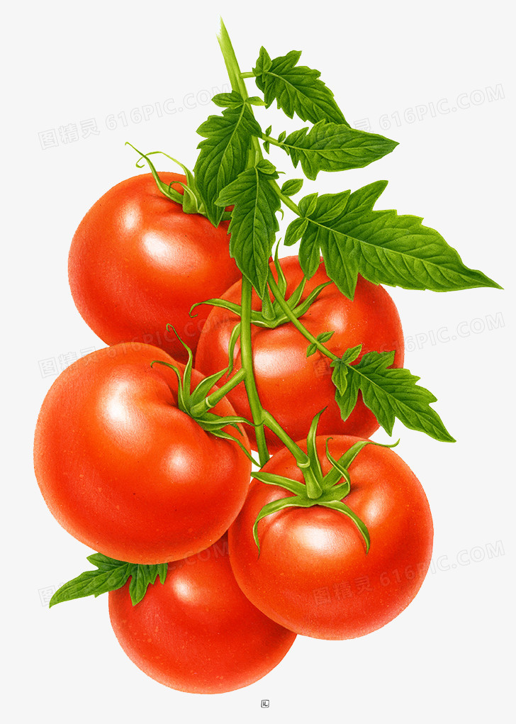 一串西红柿