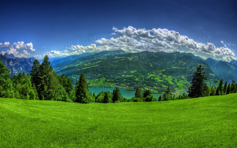 绿色的草地蓝天白云海报背景
