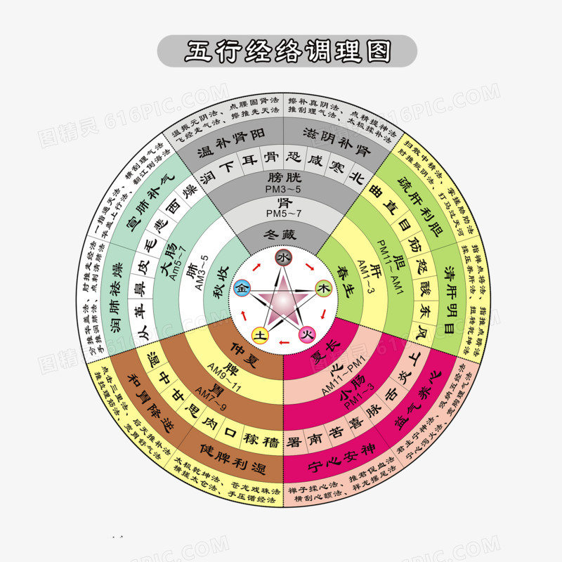 五行经络调理图