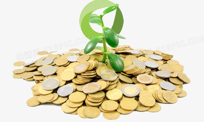 金币