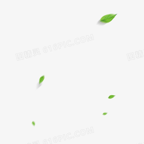 飘落的绿叶