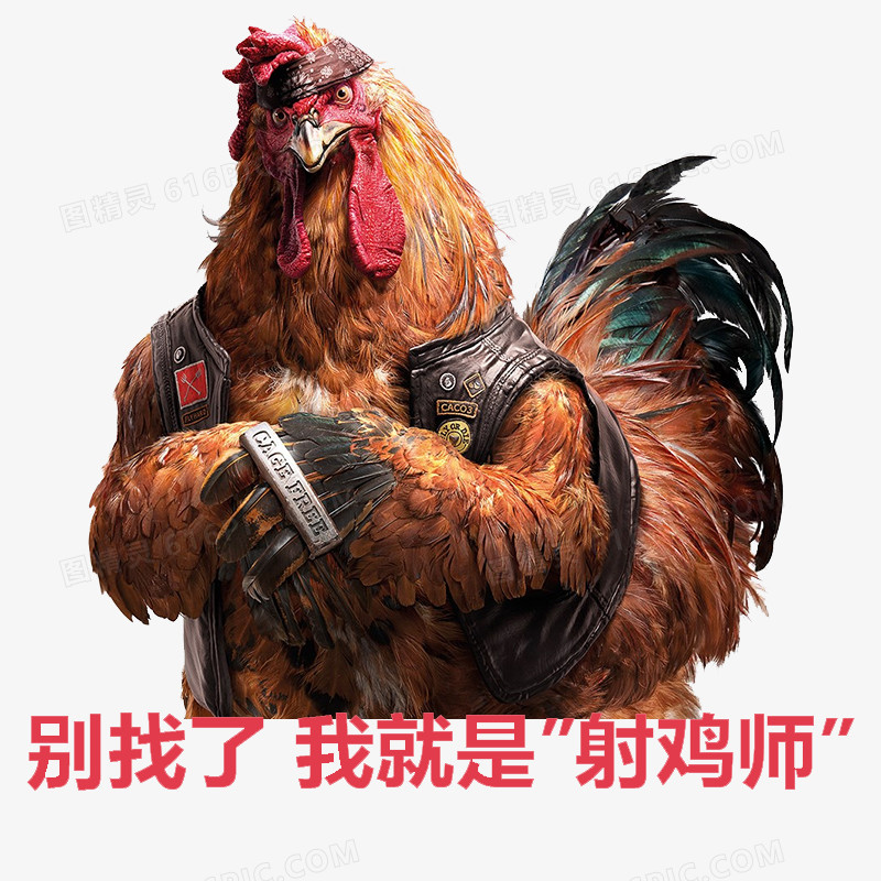 射鸡师素材