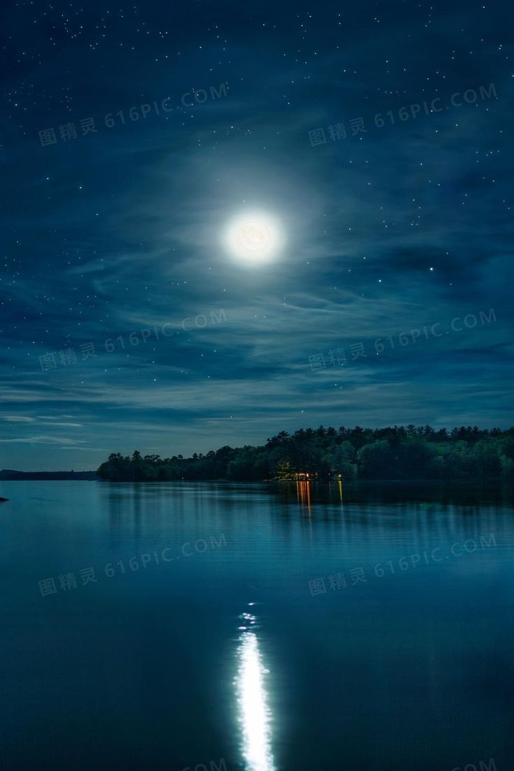 黑色夜空月光树林海报背景