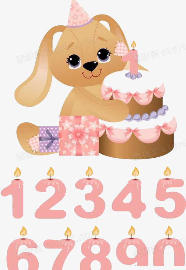 小狗抱生日蛋糕