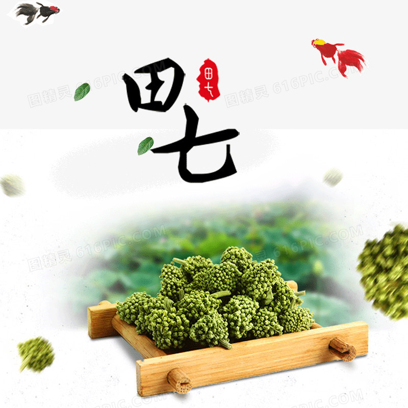 田七中草药