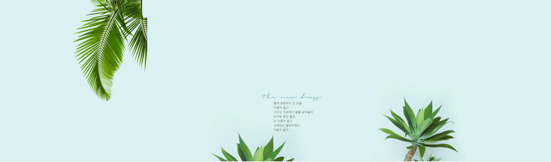 春装简约绿叶首页