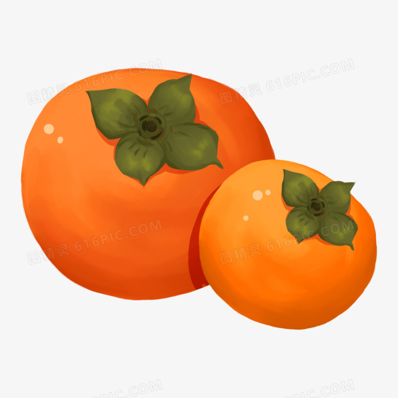 手绘秋天柿子水果元素