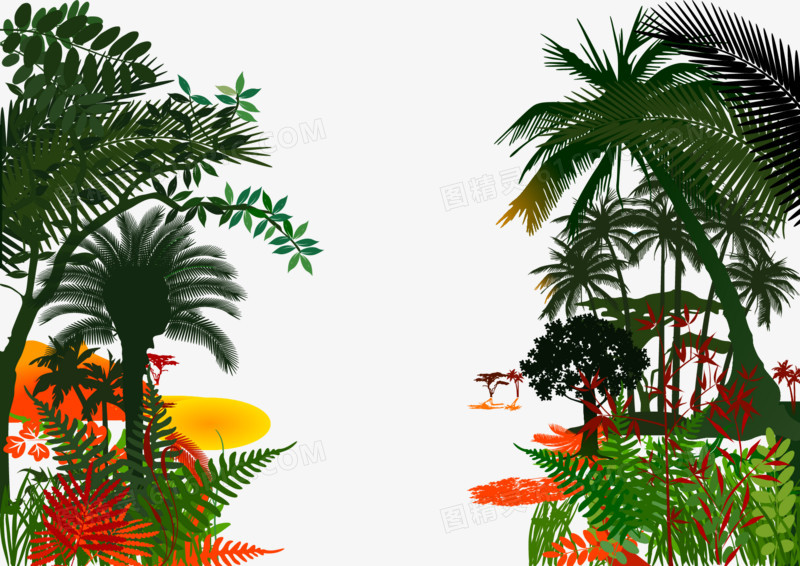 热带 丛林 树林