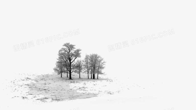雪白场景