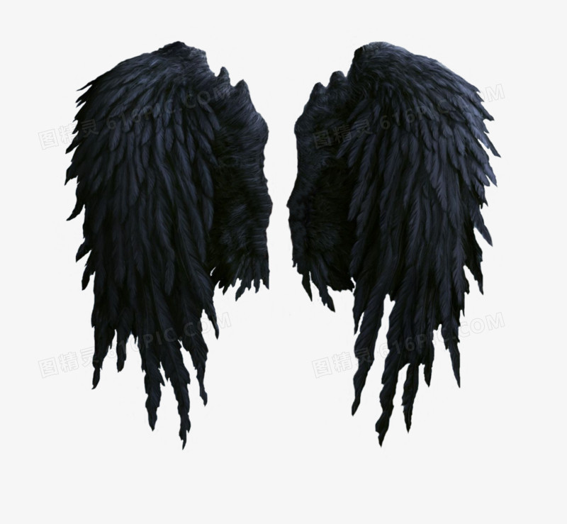 黑色羽毛翅膀素材