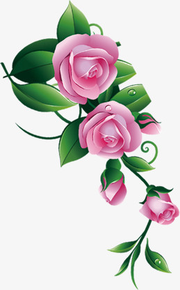 春季手绘粉色玫瑰水滴