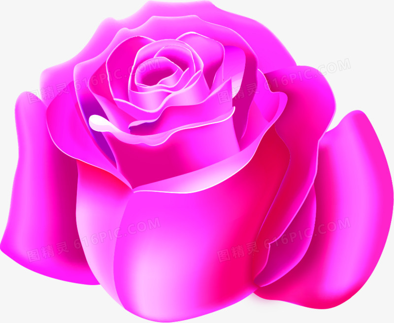 紫色卡通粉尘花朵玫瑰