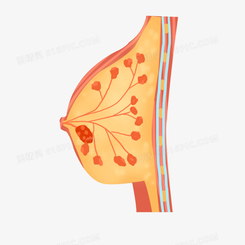 手绘乳房癌症免抠元素