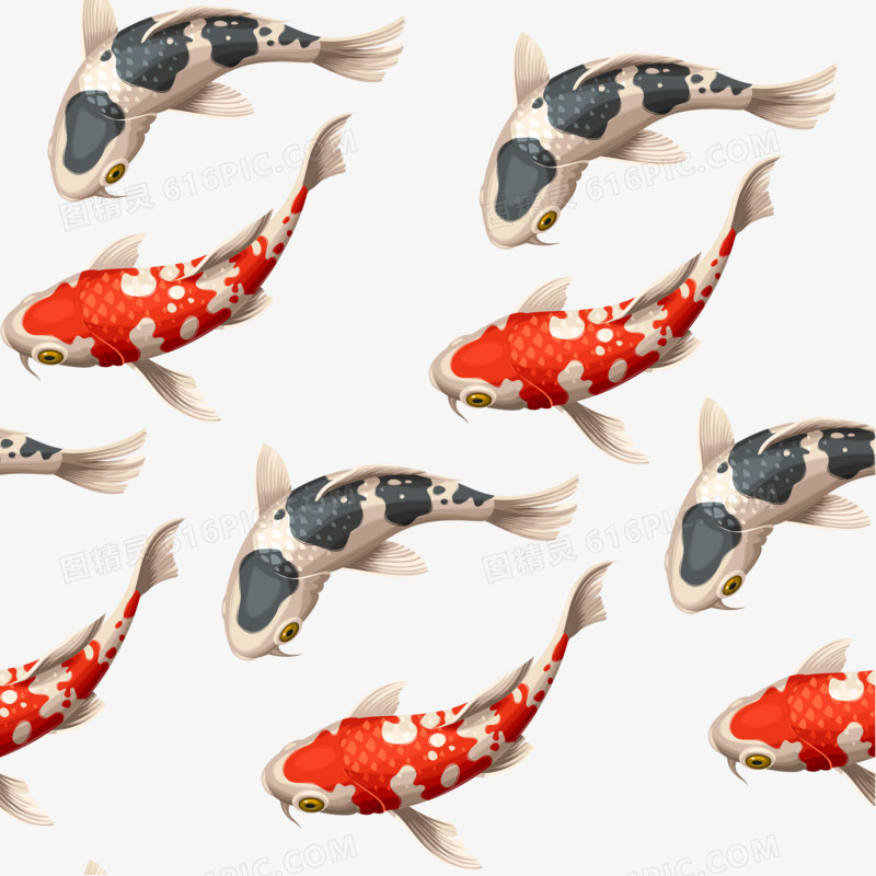 日式鲤鱼插画矢量