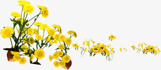 花
