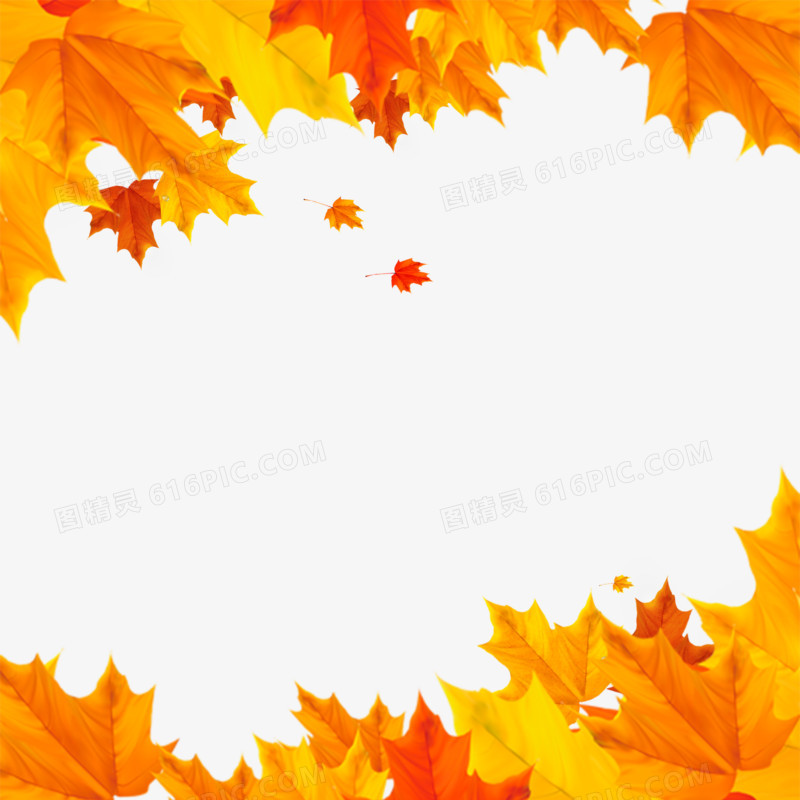 秋季落叶边框元素