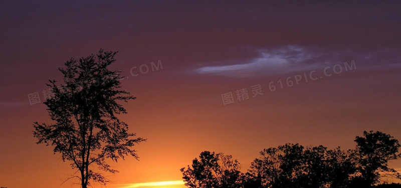 天空树林背景