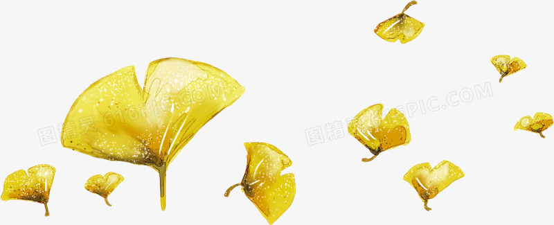 漂浮的黄色银杏叶子