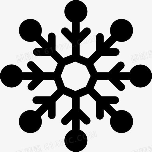 Snowflake 图标