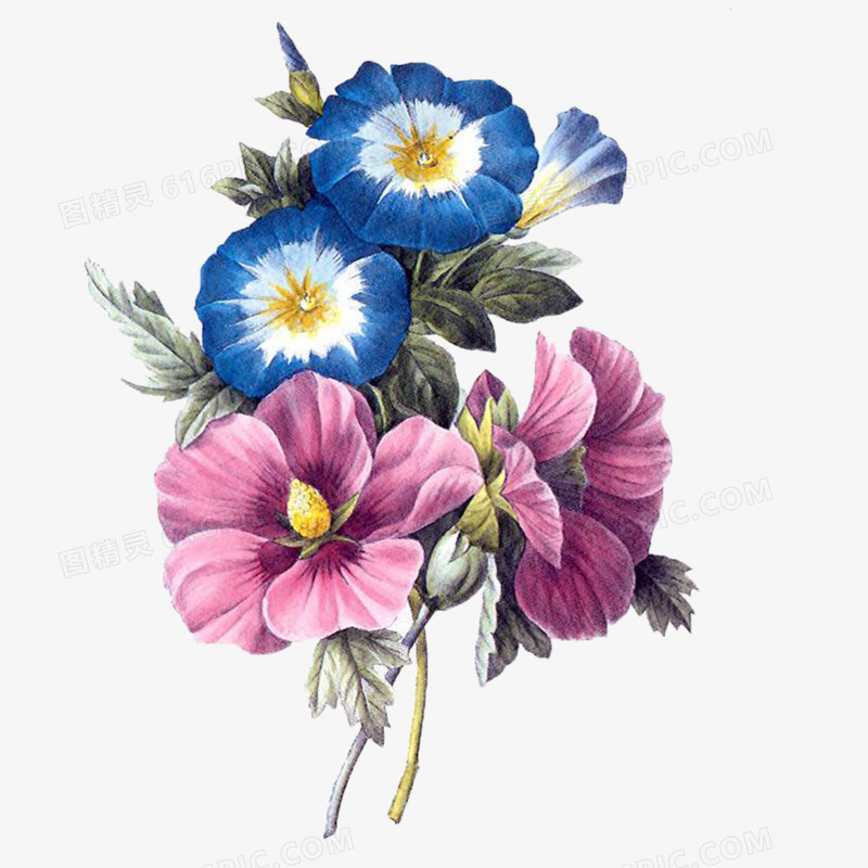 抽象鲜花素材庆典花卉 卡通手绘喇叭花