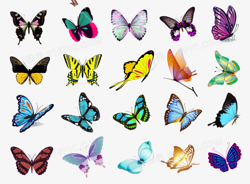 蝴蝶大集合装饰图片