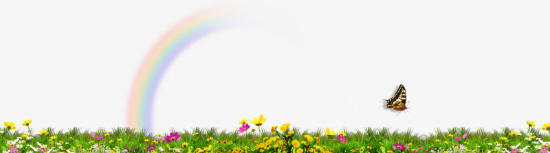 花丛里的彩虹 蝴蝶
