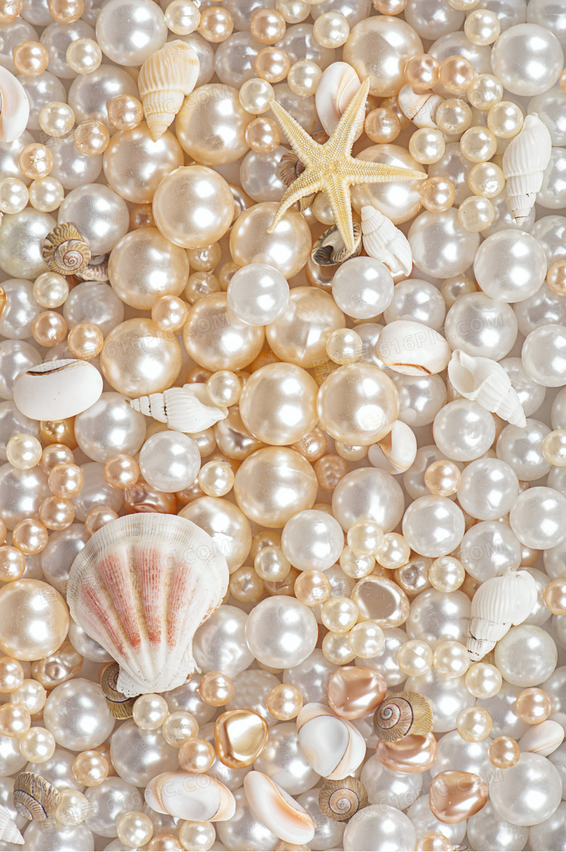 海星贝壳珍珠背景