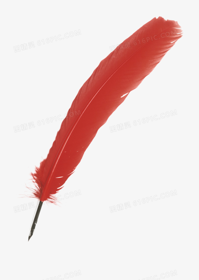 红色羽毛笔装饰
