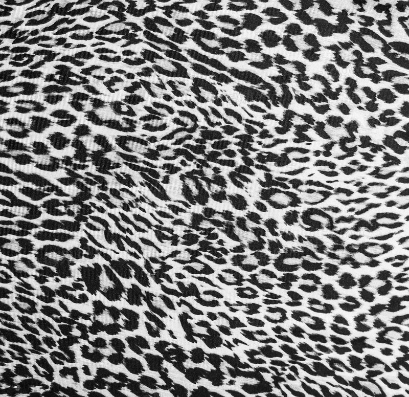黑白色漂亮的豹纹