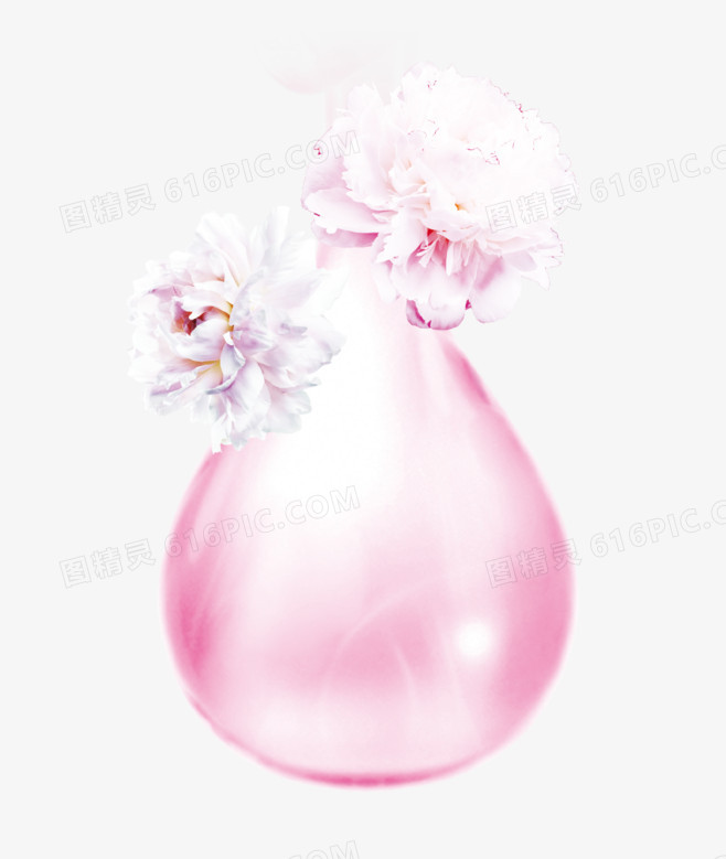 白色花朵水滴