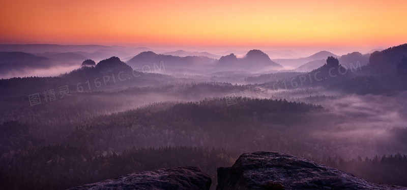 夕阳树林背景