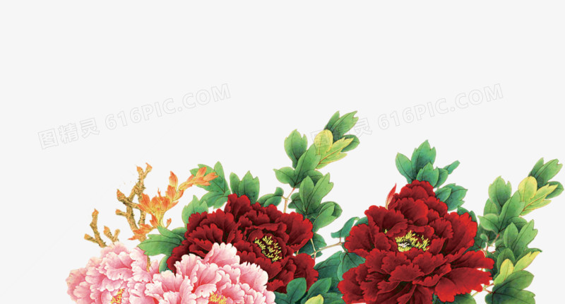 新春花朵富贵手绘